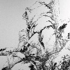 Chen Chunhao, Imitating the Ink Painting of Xu Dao-Nyn, Sung Dynasty, Stainless Mosquito Nails on Canvas, 162cm x 120cm, 2010